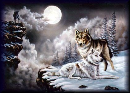 Loups Fonds D Ecran Page 3