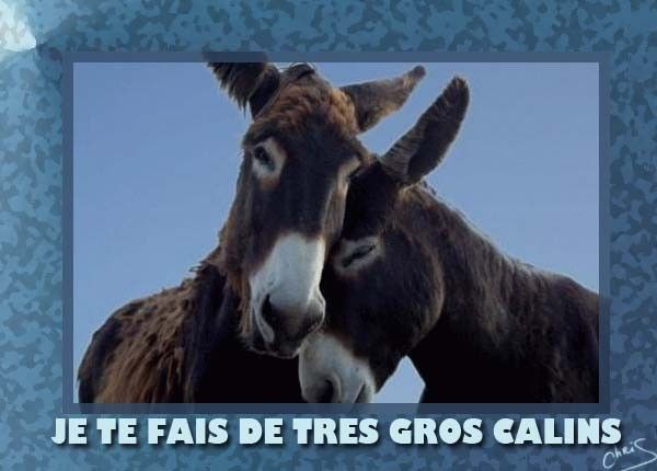 cedcf225.jpg
