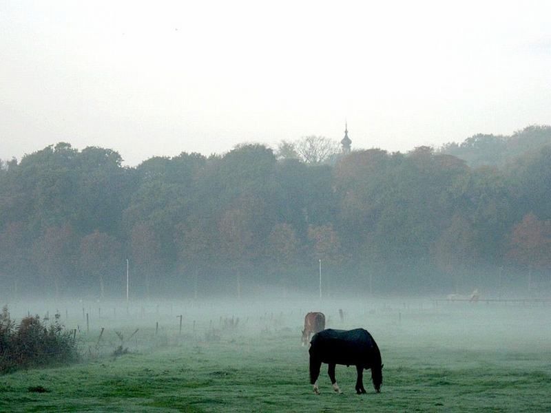 Photographies de paysages au petit matin