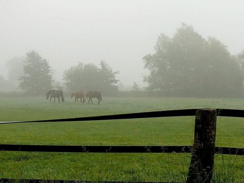 Photographies de paysages au petit matin