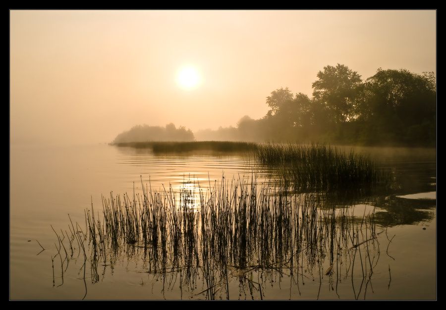 ... à 10:43 par sosduneterrienneendetresse Tags : brume matinale paysage ... à 10:43 par sosduneterrienneendetresse Tags : brume matinale paysage