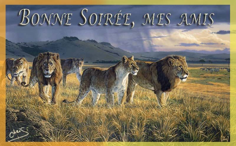 bonjour,bonsoir du mois de juillet Rkjvgxuv