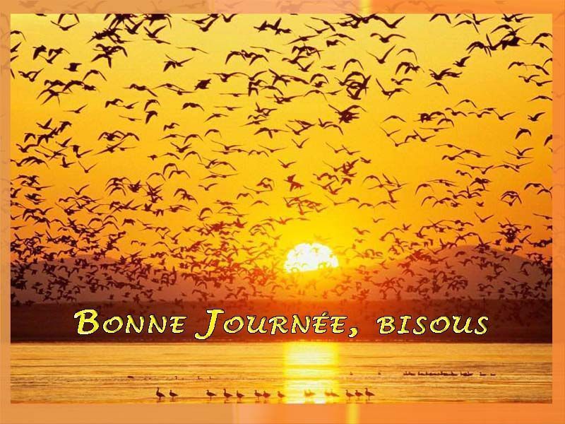 Résultat de recherche d'images pour "Bonjour bon matin animé"