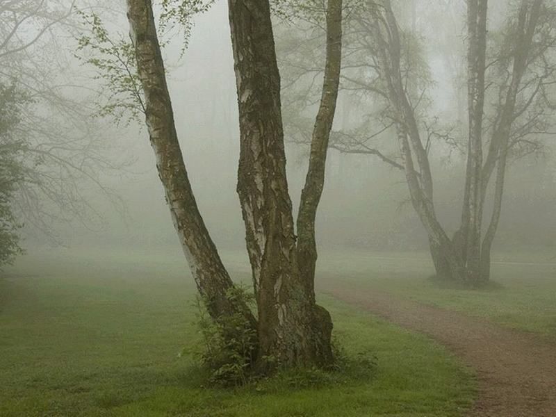 Photographies de paysages au petit matin